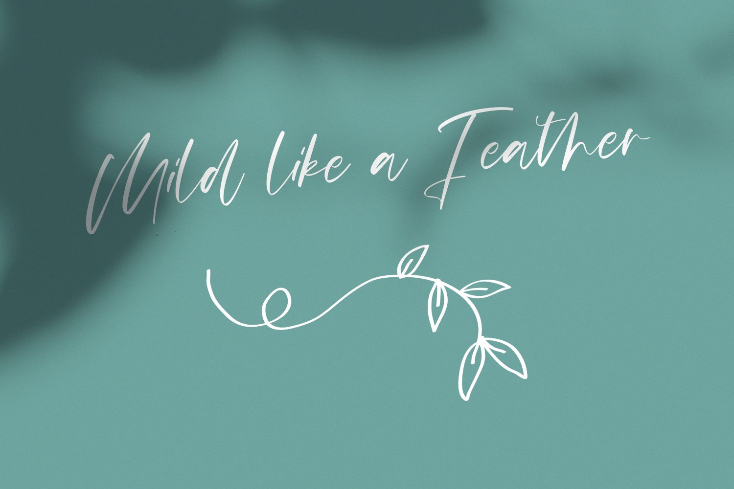 mildlight feminine signature font 3 666