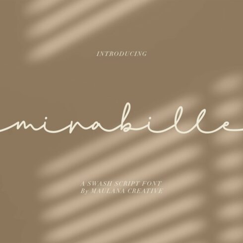 Mirabille Swash Script cover image.