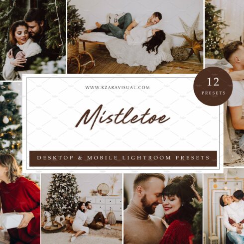 12 x Lightroom Presets, Mistletoecover image.