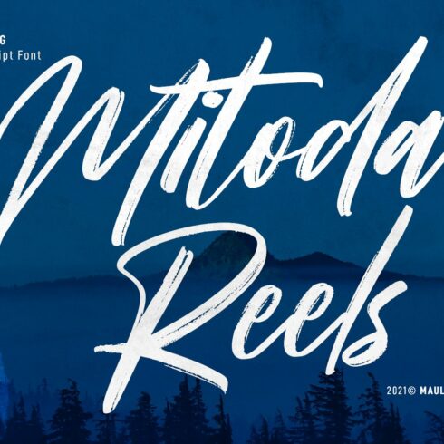 Mitoda Reels Brush Script Font cover image.