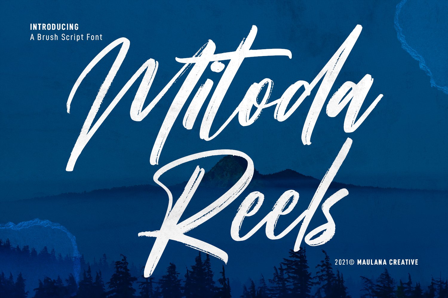 Mitoda Reels Brush Script Font cover image.