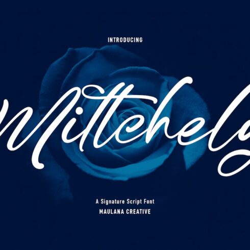 Mittchely Script Fontcover image.