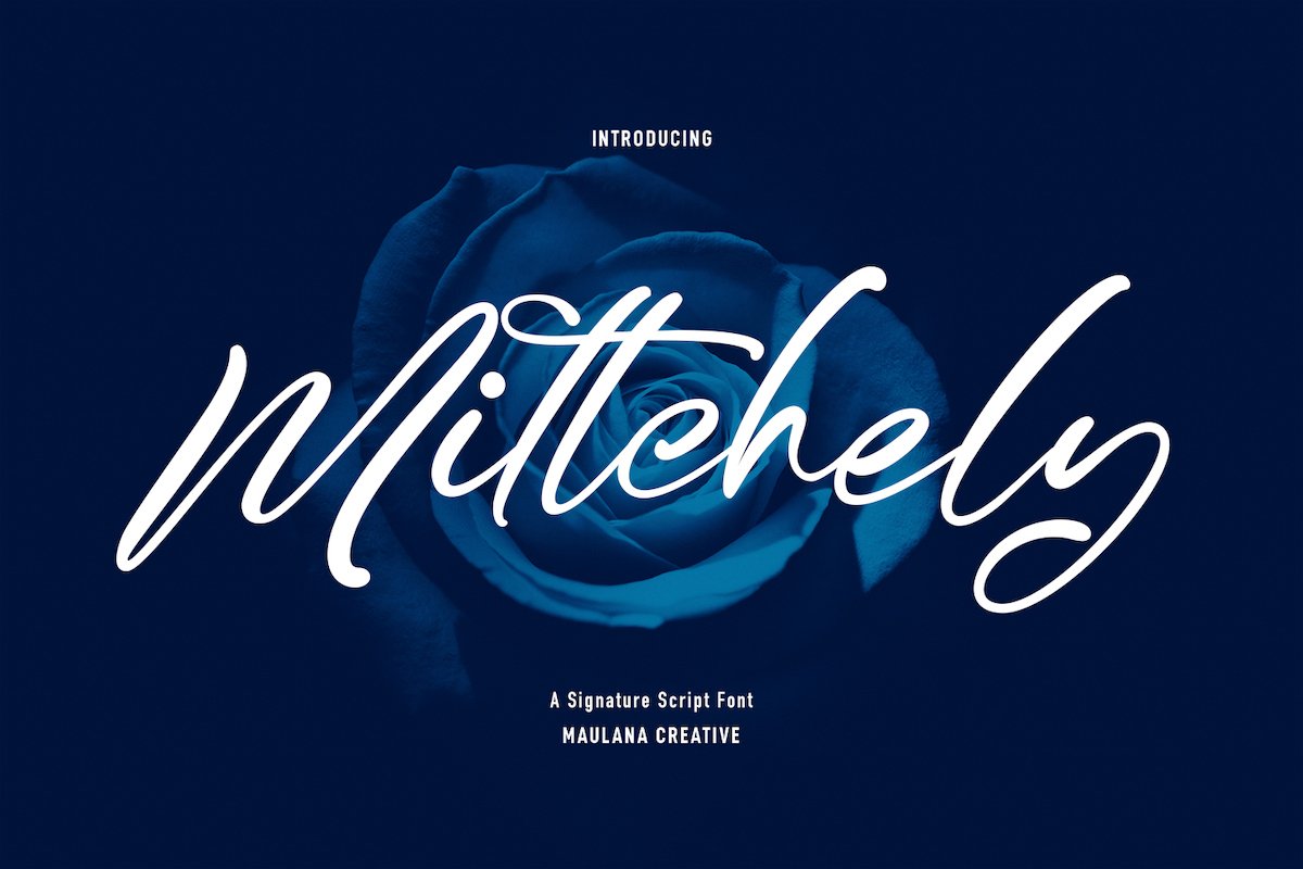 Mittchely Script Fontcover image.