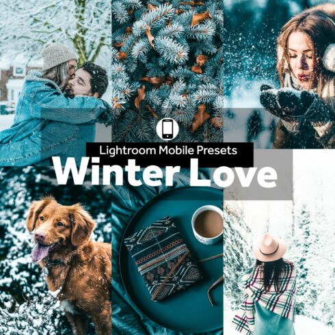 Lightroom Mobile Presets Winter Lovecover image.