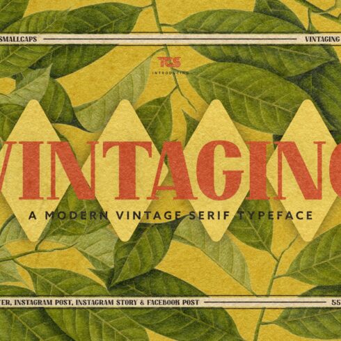 Vintaging Typeface cover image.