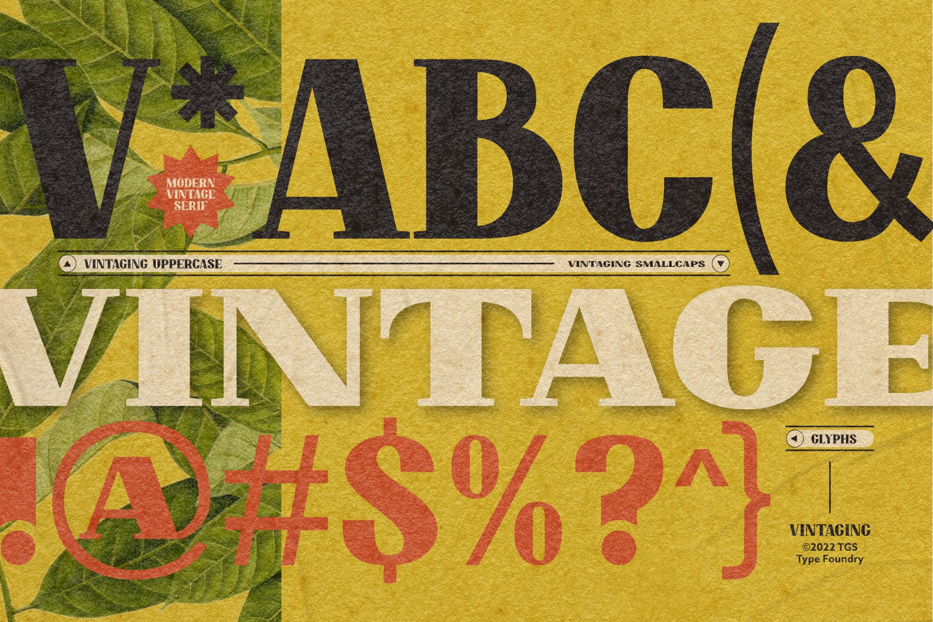 Vintaging Typeface preview image.