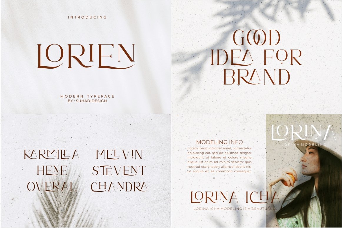 modern elegant popular font serif and script4 511