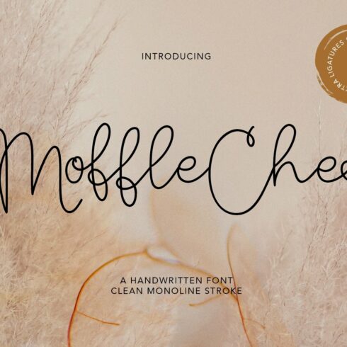 Moffle Chee Handwritten cover image.