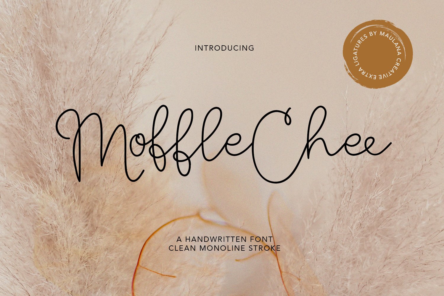 Moffle Chee Handwritten cover image.