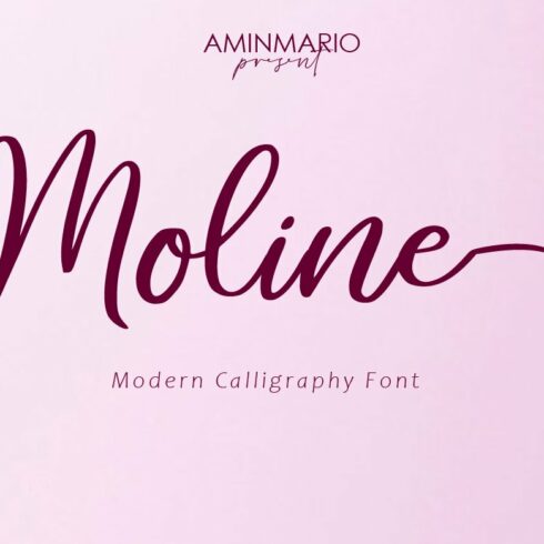 Moline cover image.