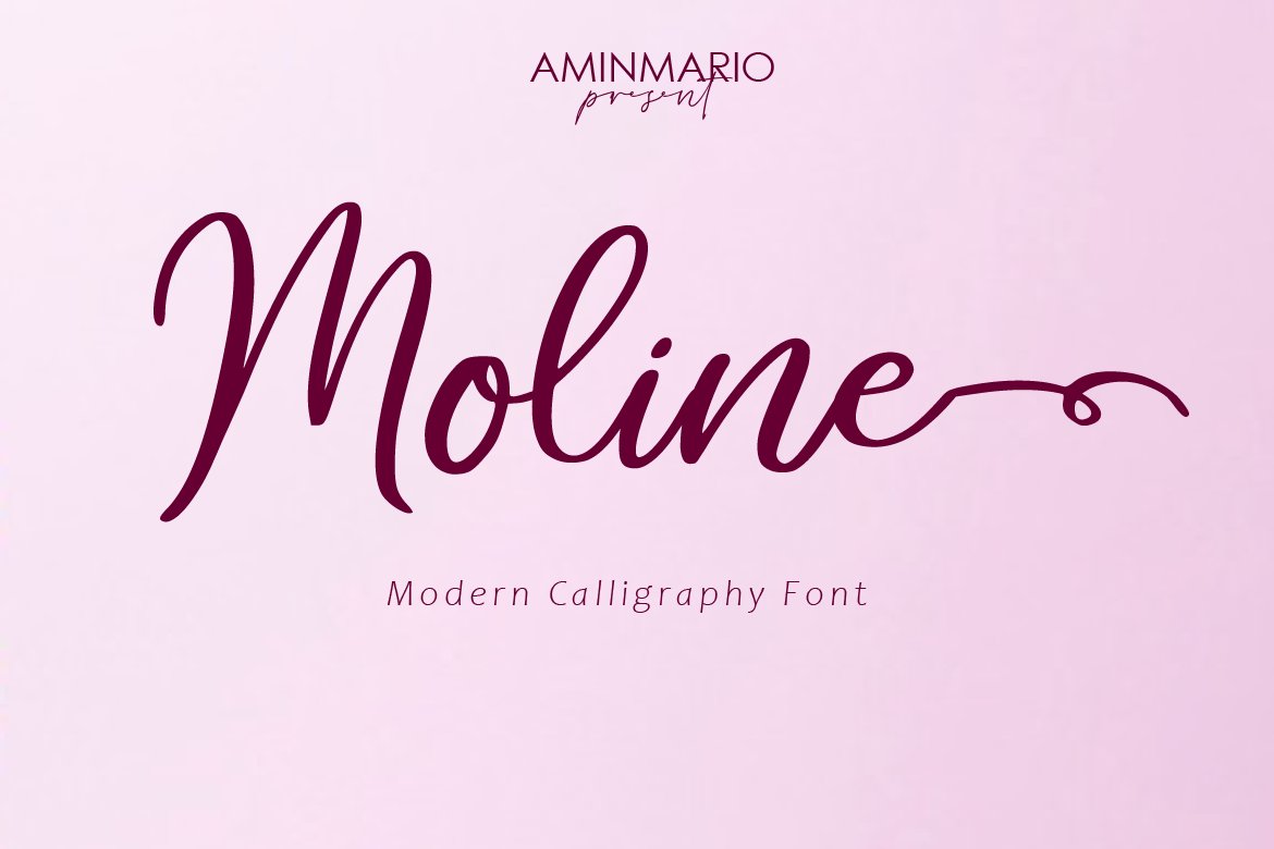 Moline cover image.