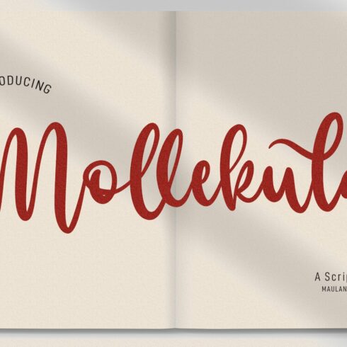 Mollekula Script Font cover image.