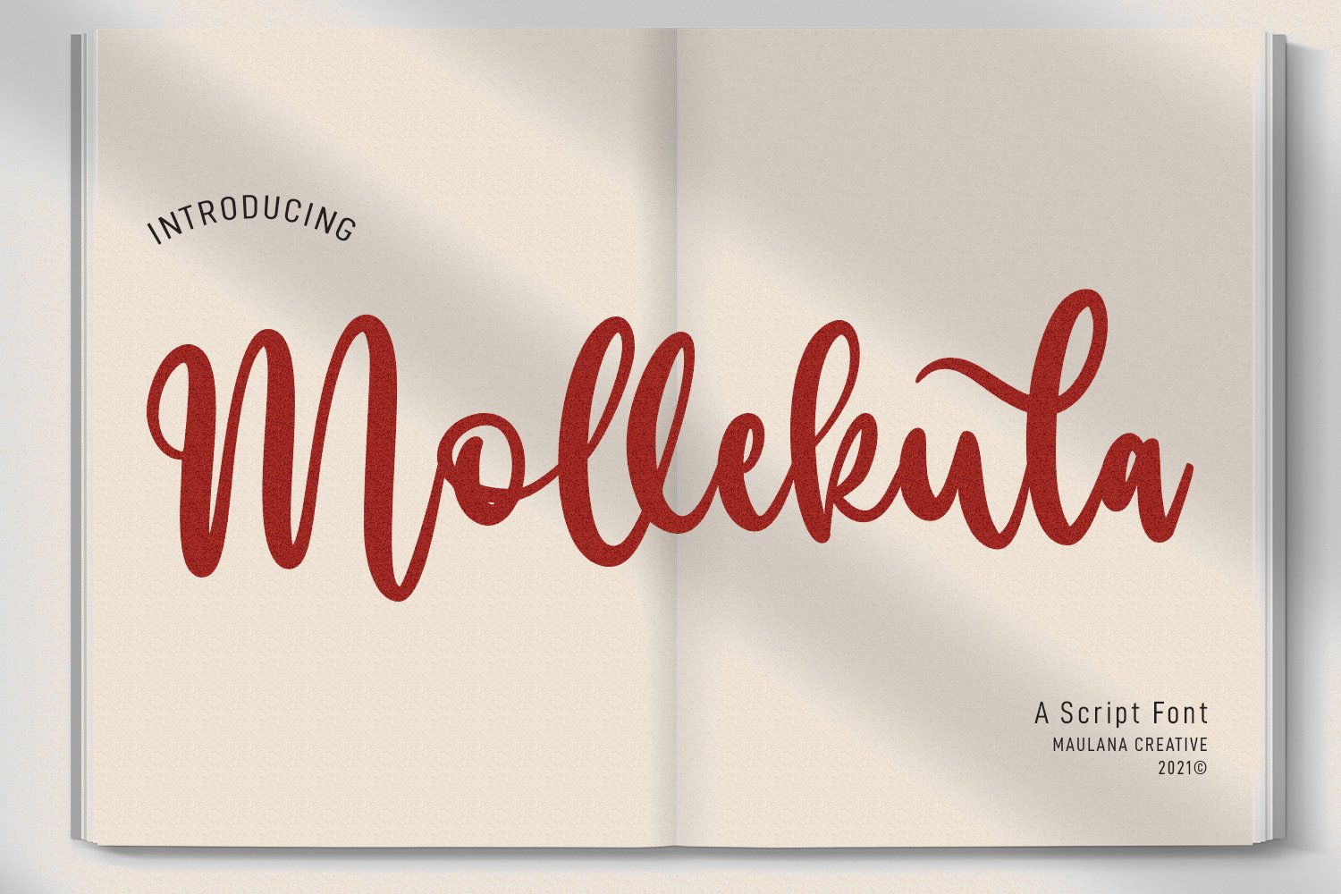 Mollekula Script Font cover image.