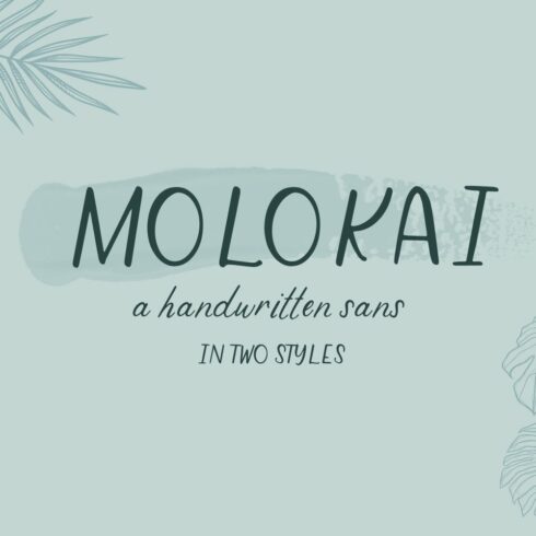 Molokai Sans Duo cover image.