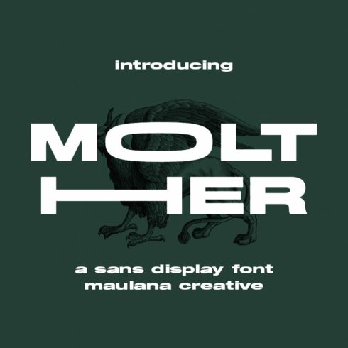 Molther Sans Display Font cover image.