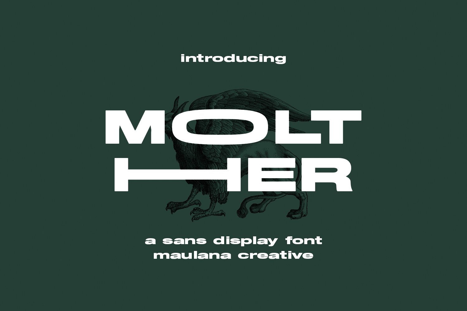 Molther Sans Display Font cover image.
