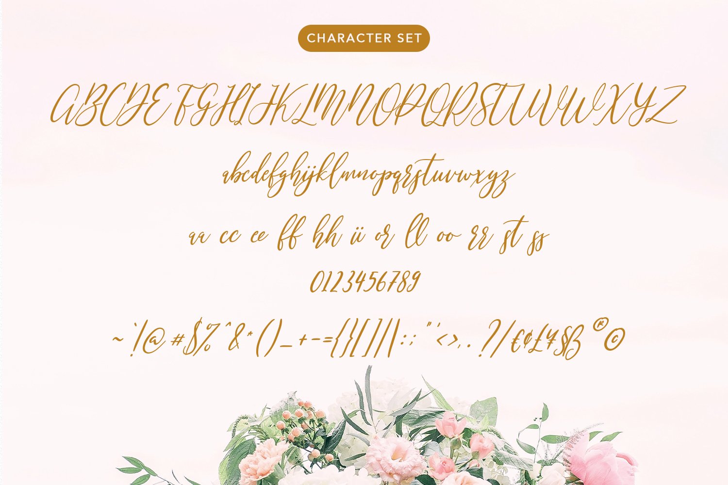 mondayslove beauty feminine script font08 285