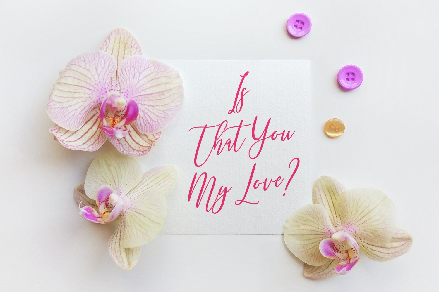 mondayslove beauty feminine script font09 130