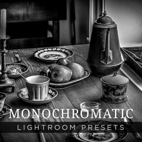 Monochromatic Lightroom Presets 1cover image.