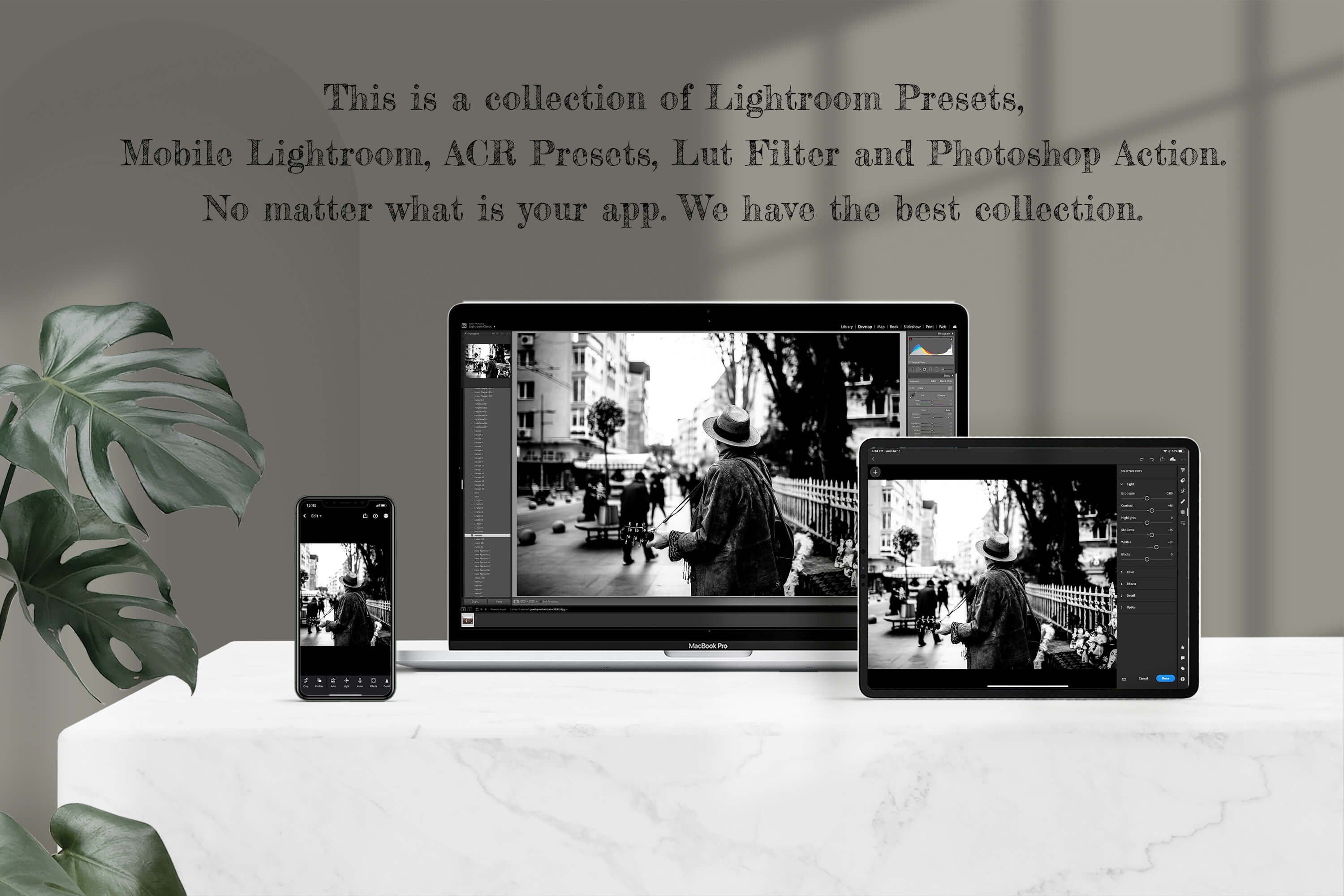 Monochrome Lightroom Photoshop LUTpreview image.