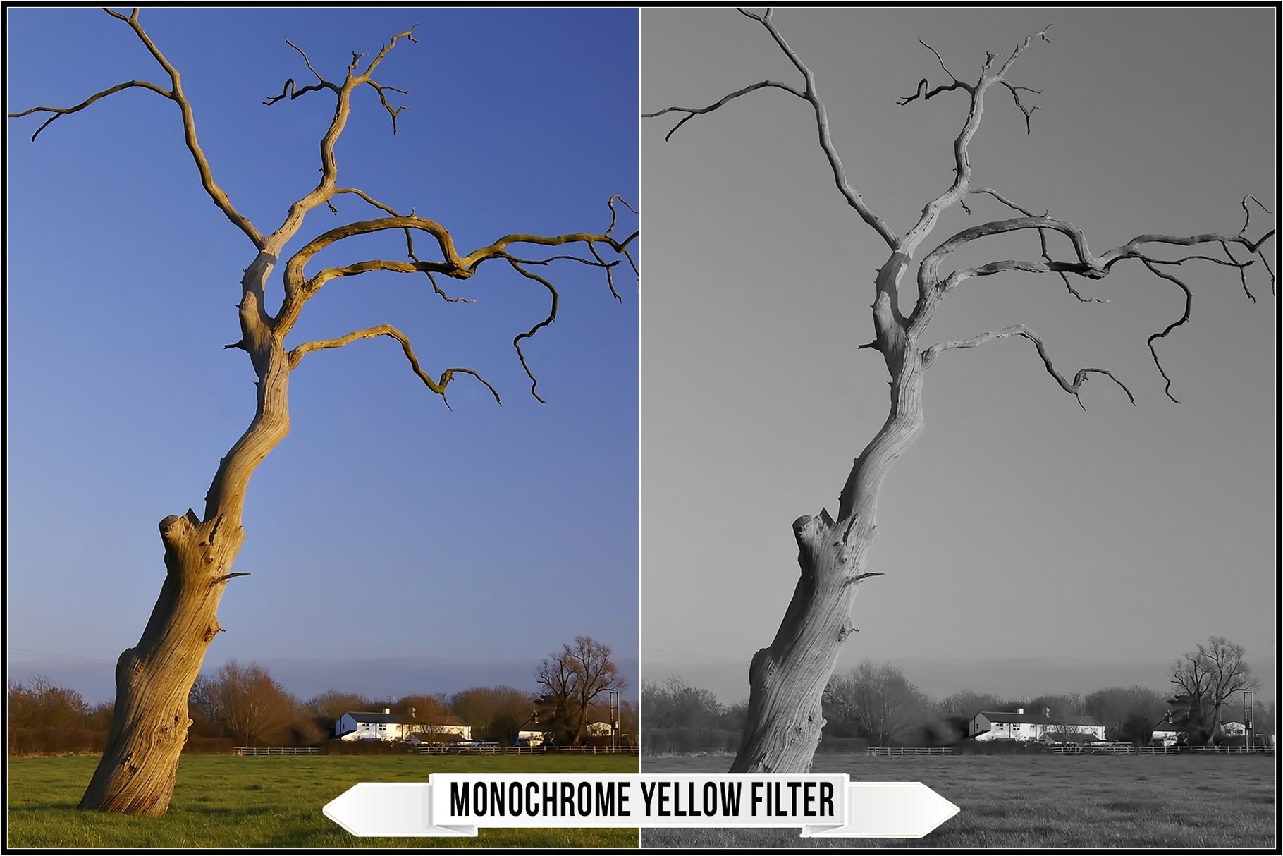 monochrome yellow filter 988