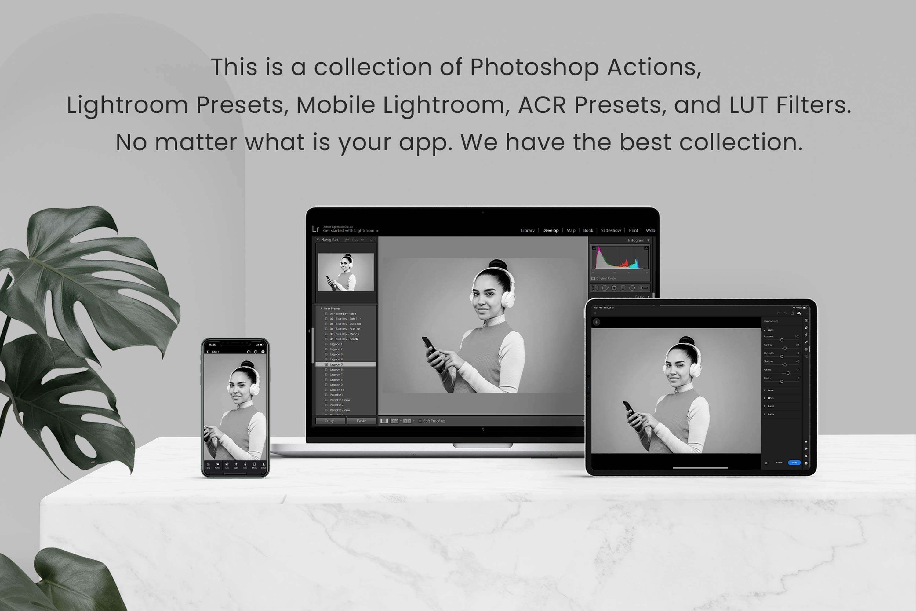 Monocolor Lightroom Presets Desktoppreview image.