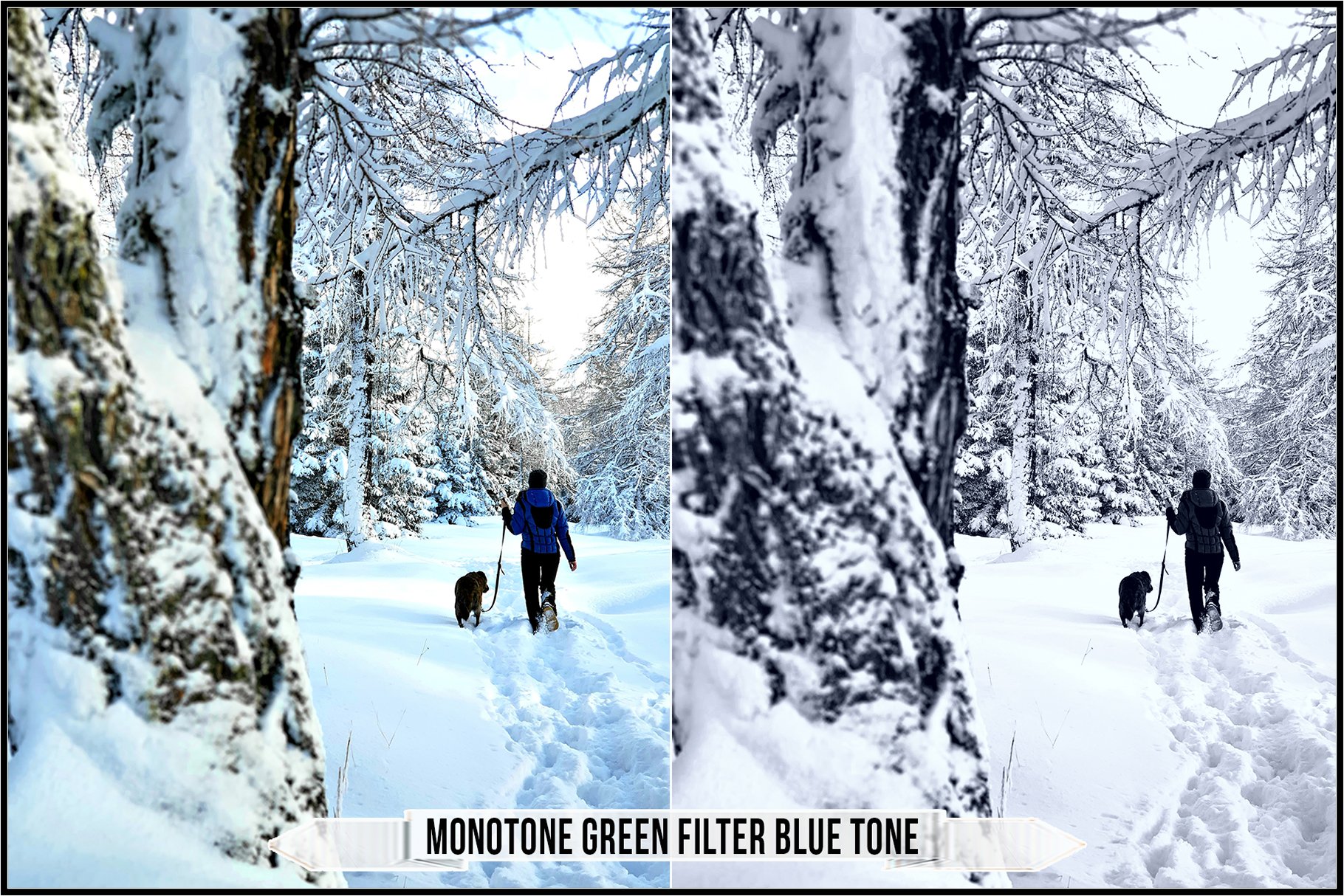 monotone green filter blue tone 919