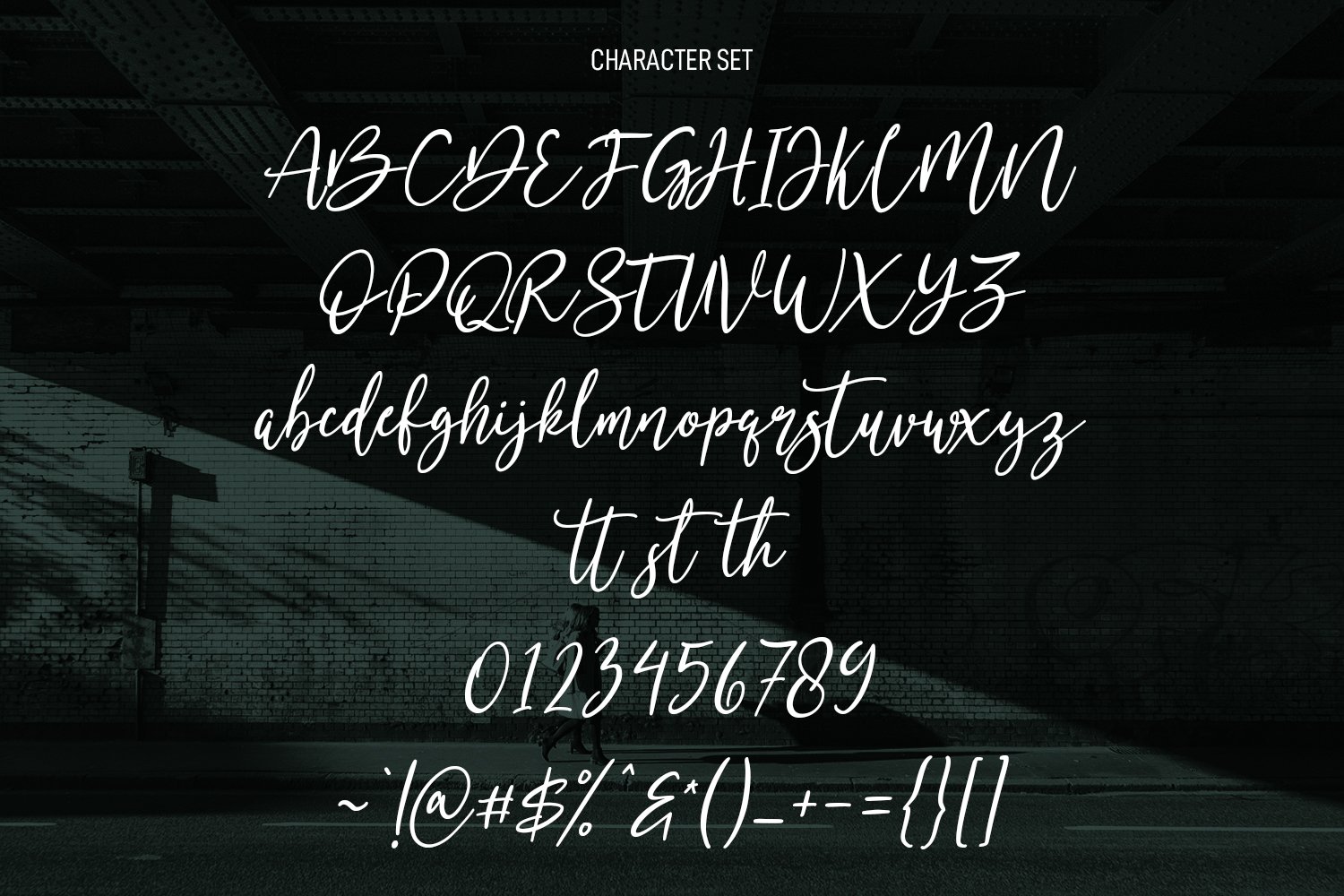 montosal signature script font 8 45