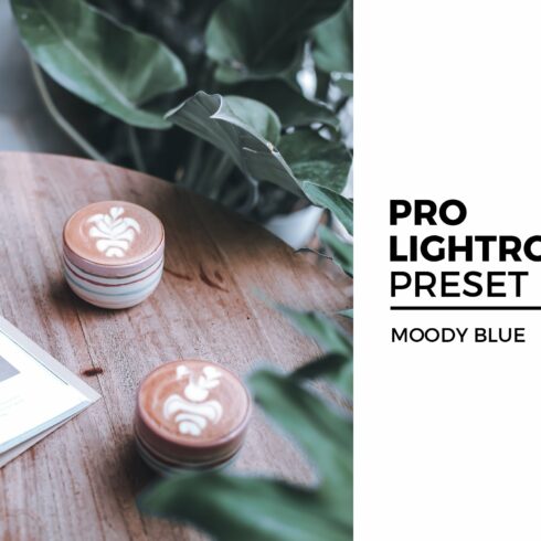 Moody Blue Lightroom Presetcover image.