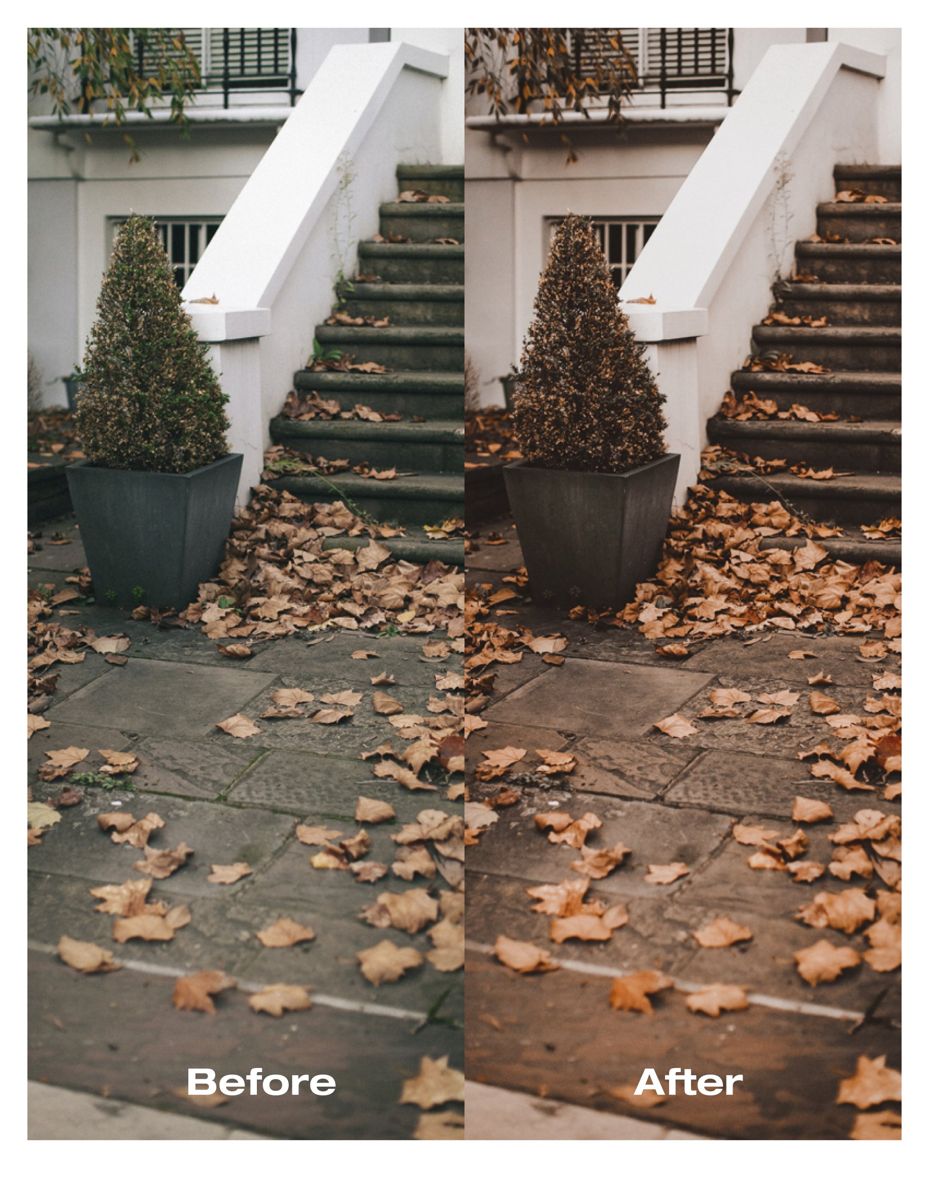 moody fall before after 02 820