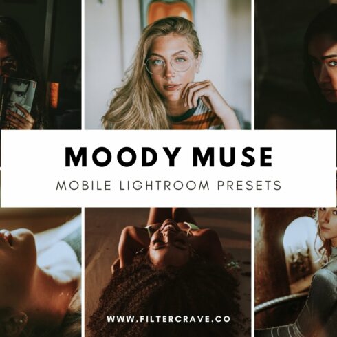 Moody Muse Mobile Lightroom Presetscover image.