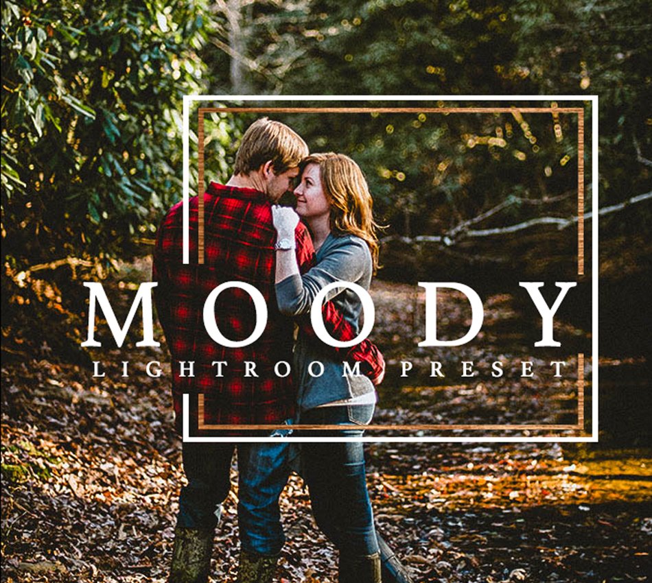 Moody Warm Lightroom Presetcover image.