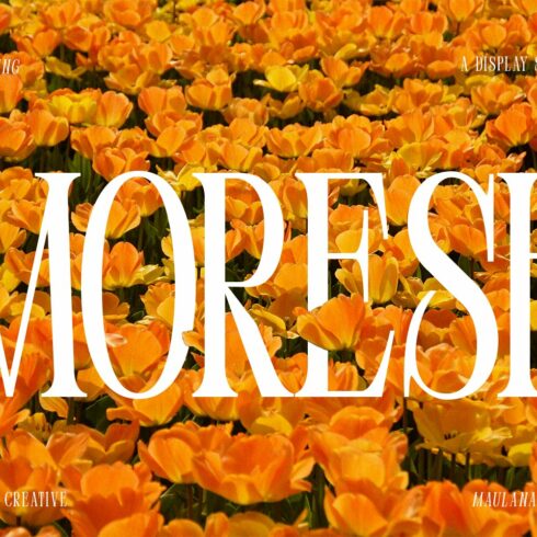 Moresh Serif Display Font cover image.