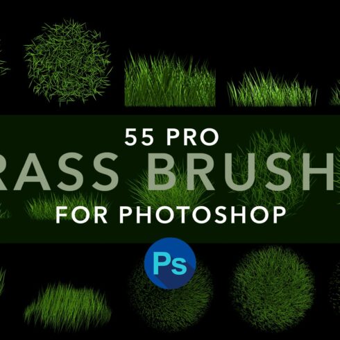 MS Grass Brushescover image.
