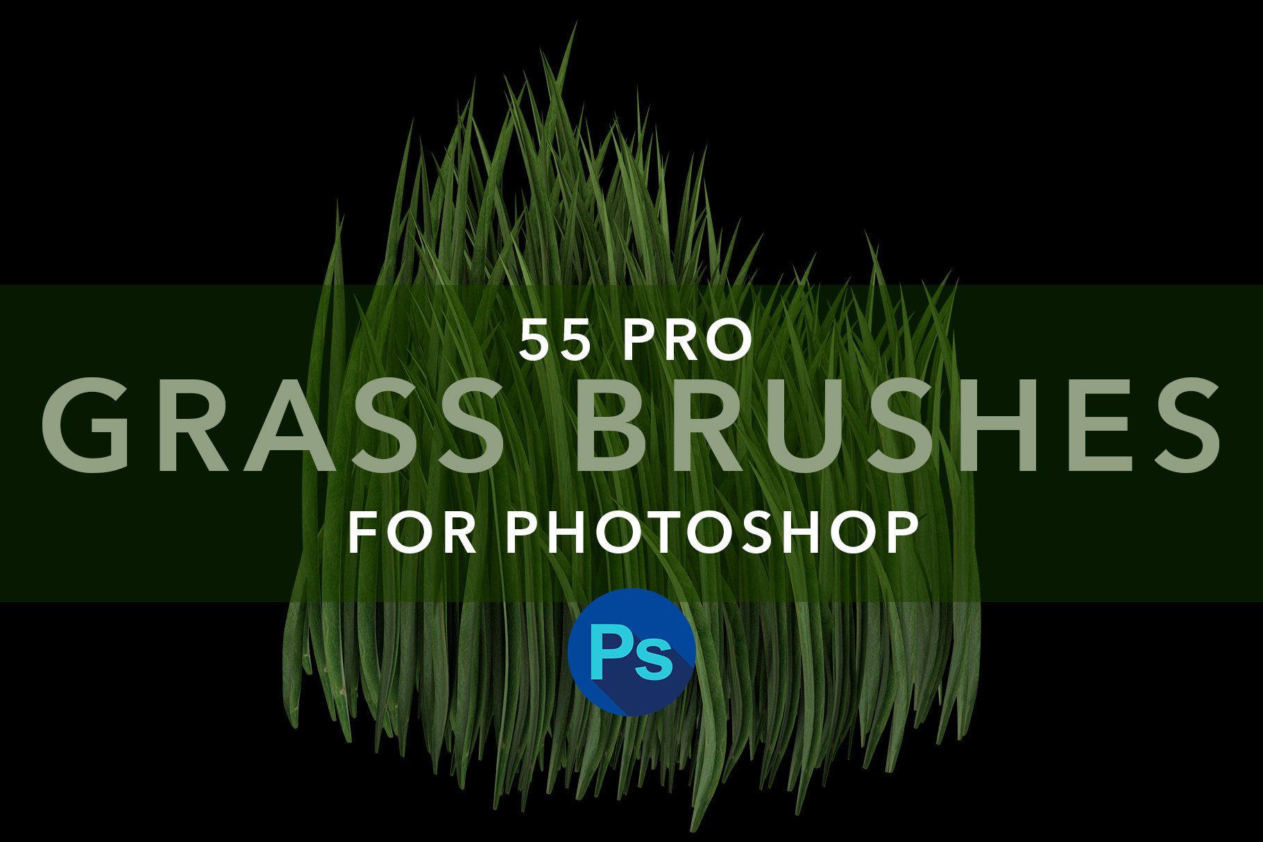 ms grass brushes 05 379