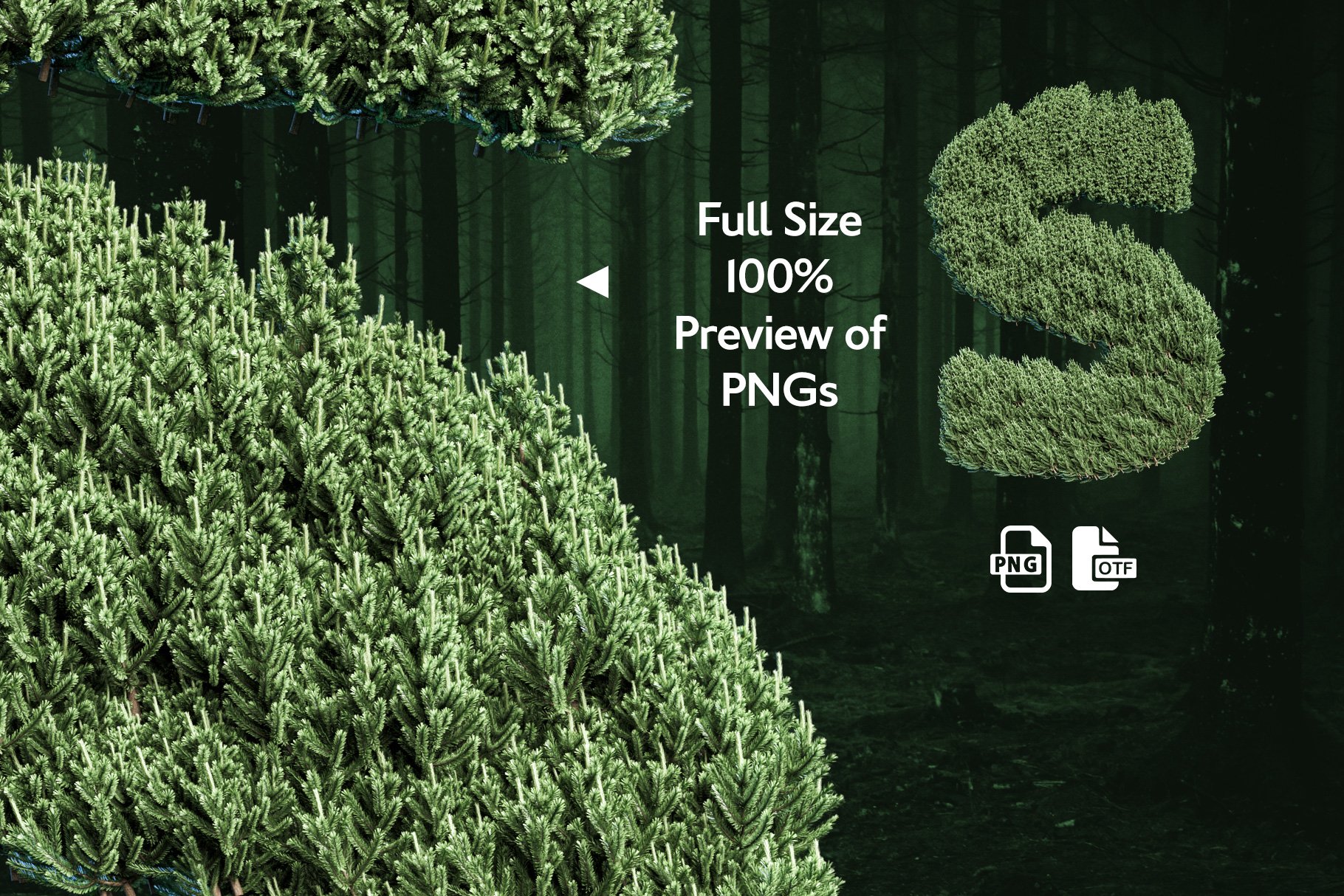 MS Pine Bitmap Font & PNGs preview image.