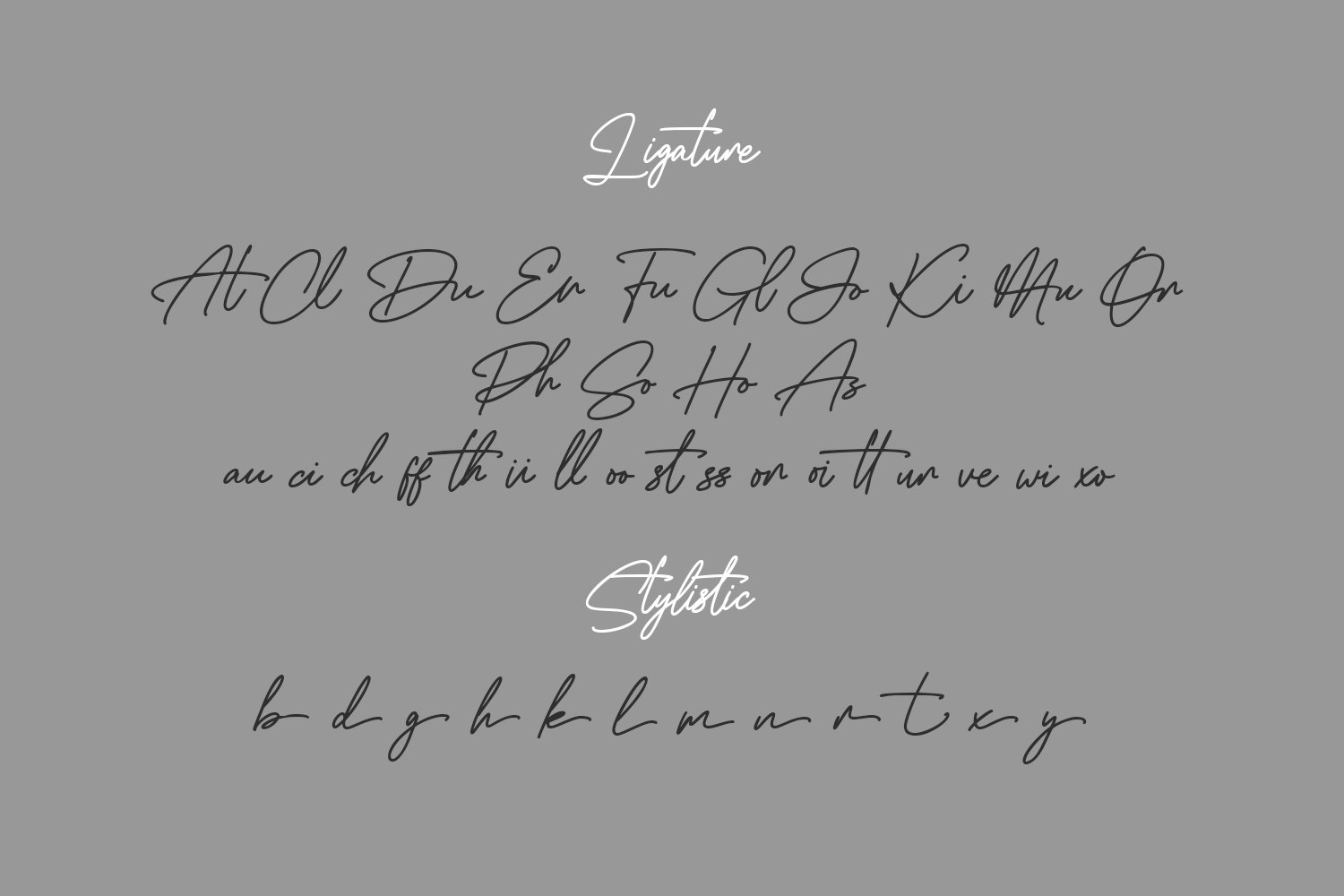 Munichly Signature Script Font preview image.