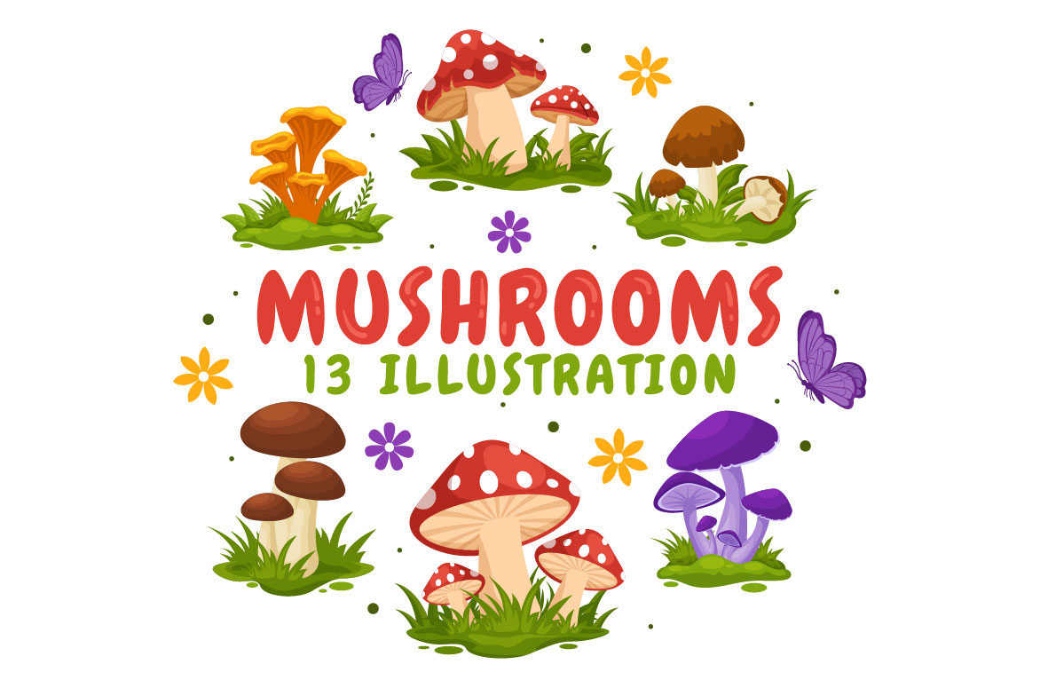 mushrooms 01 827