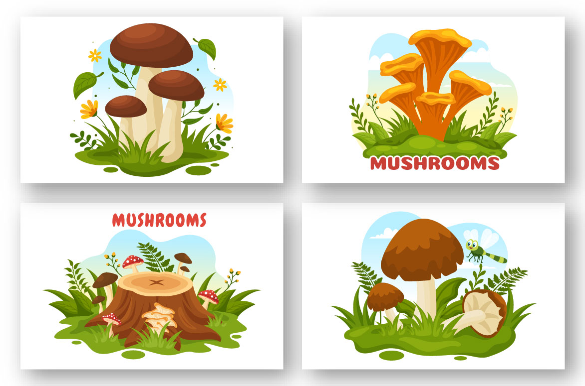 mushrooms 04 495