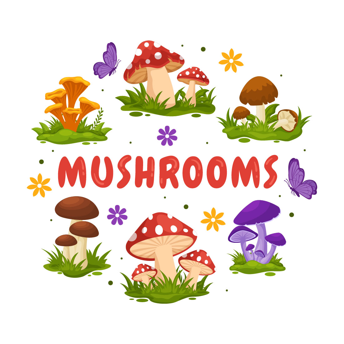 13 Mushrooms Design Illustration cover image.