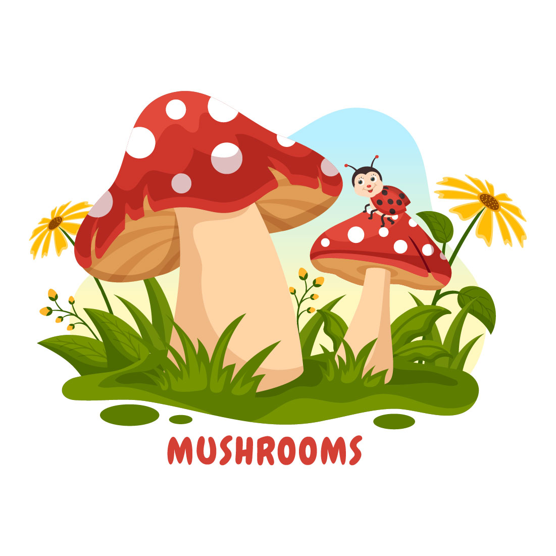 13 Mushrooms Design Illustration preview image.