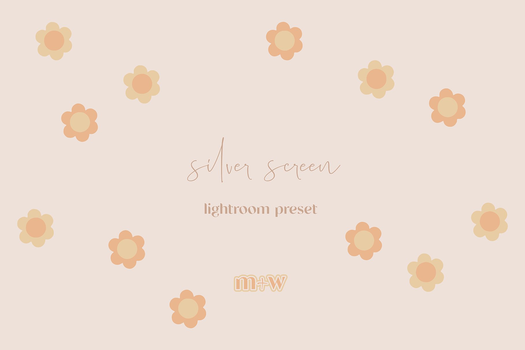 silver screen lightroom presetpreview image.