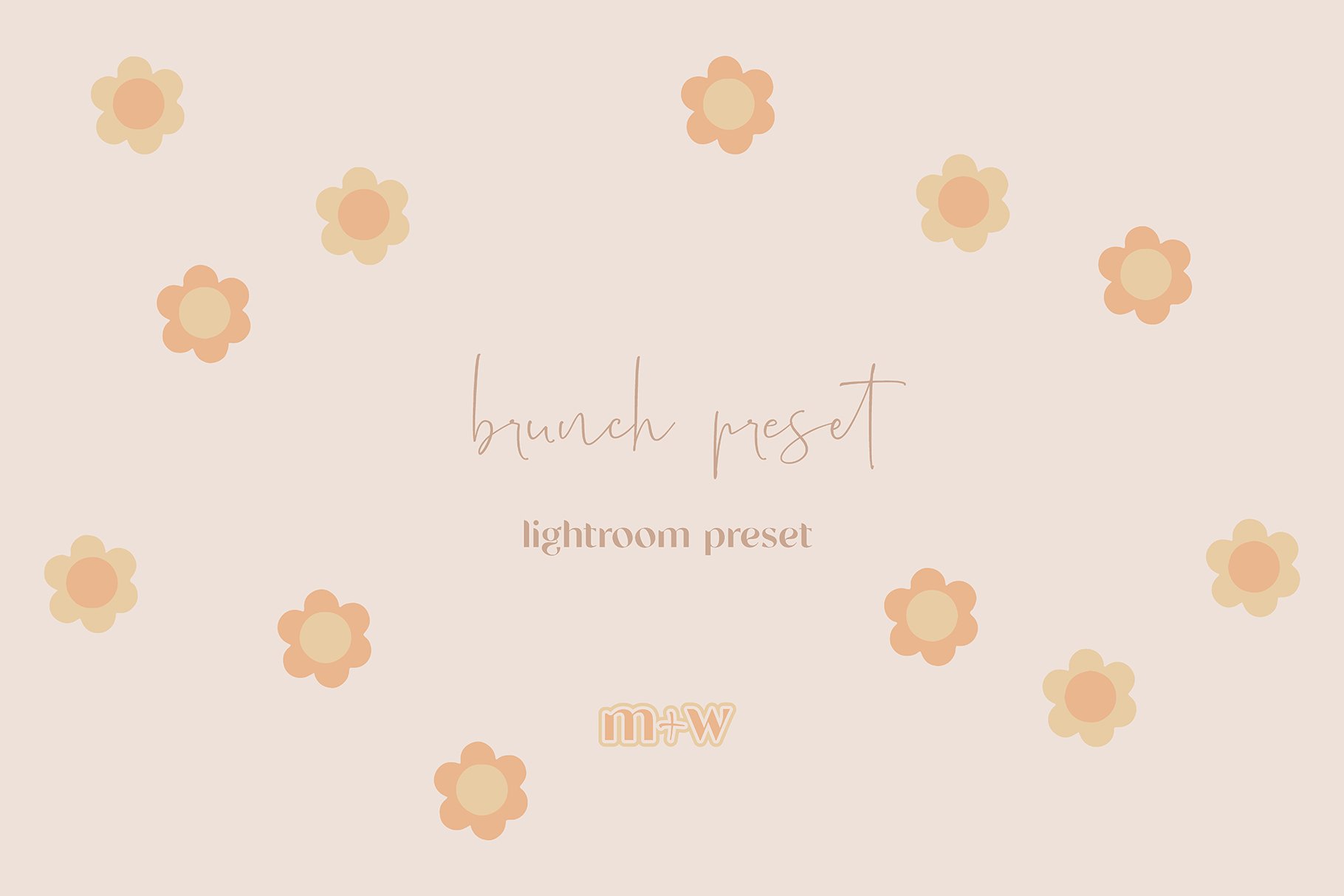 brunch lightroom presetpreview image.