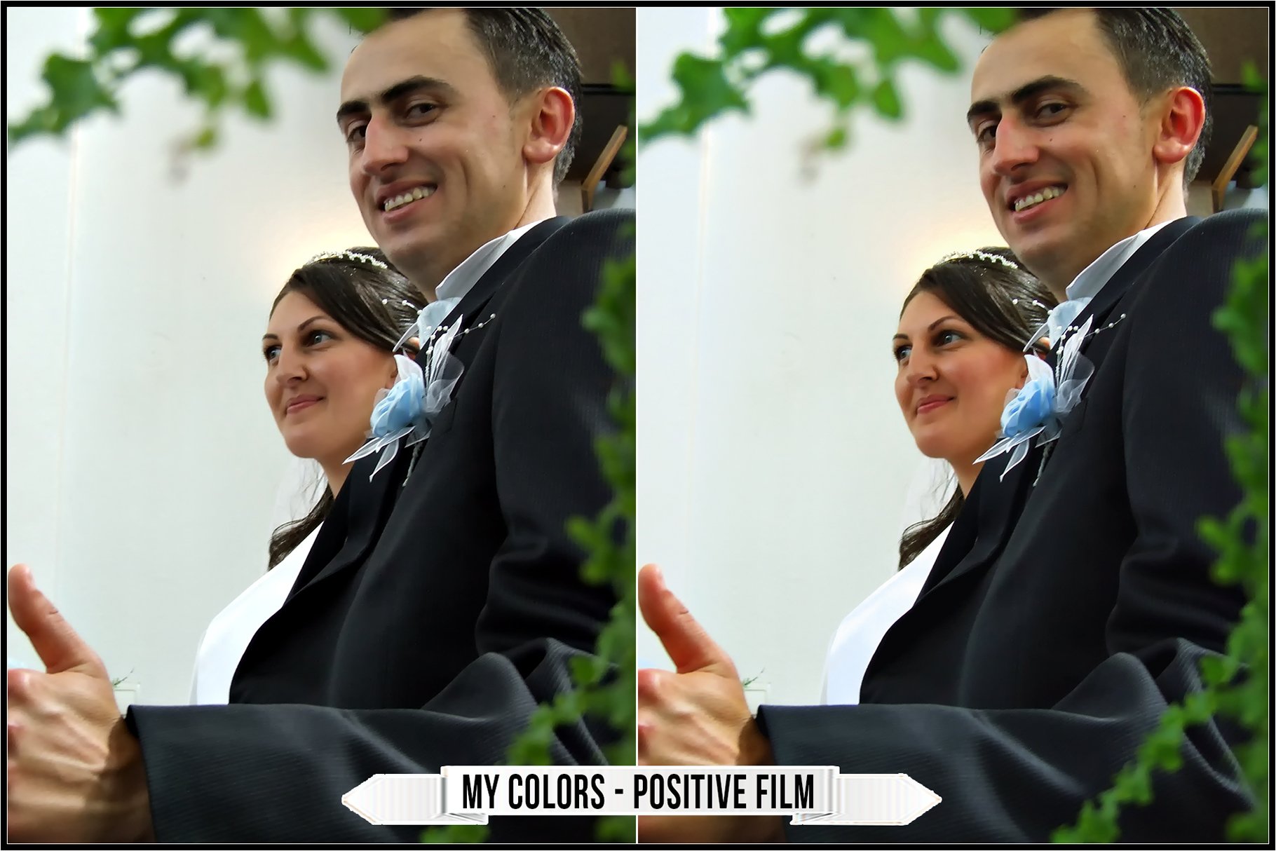 my colors positive film 496