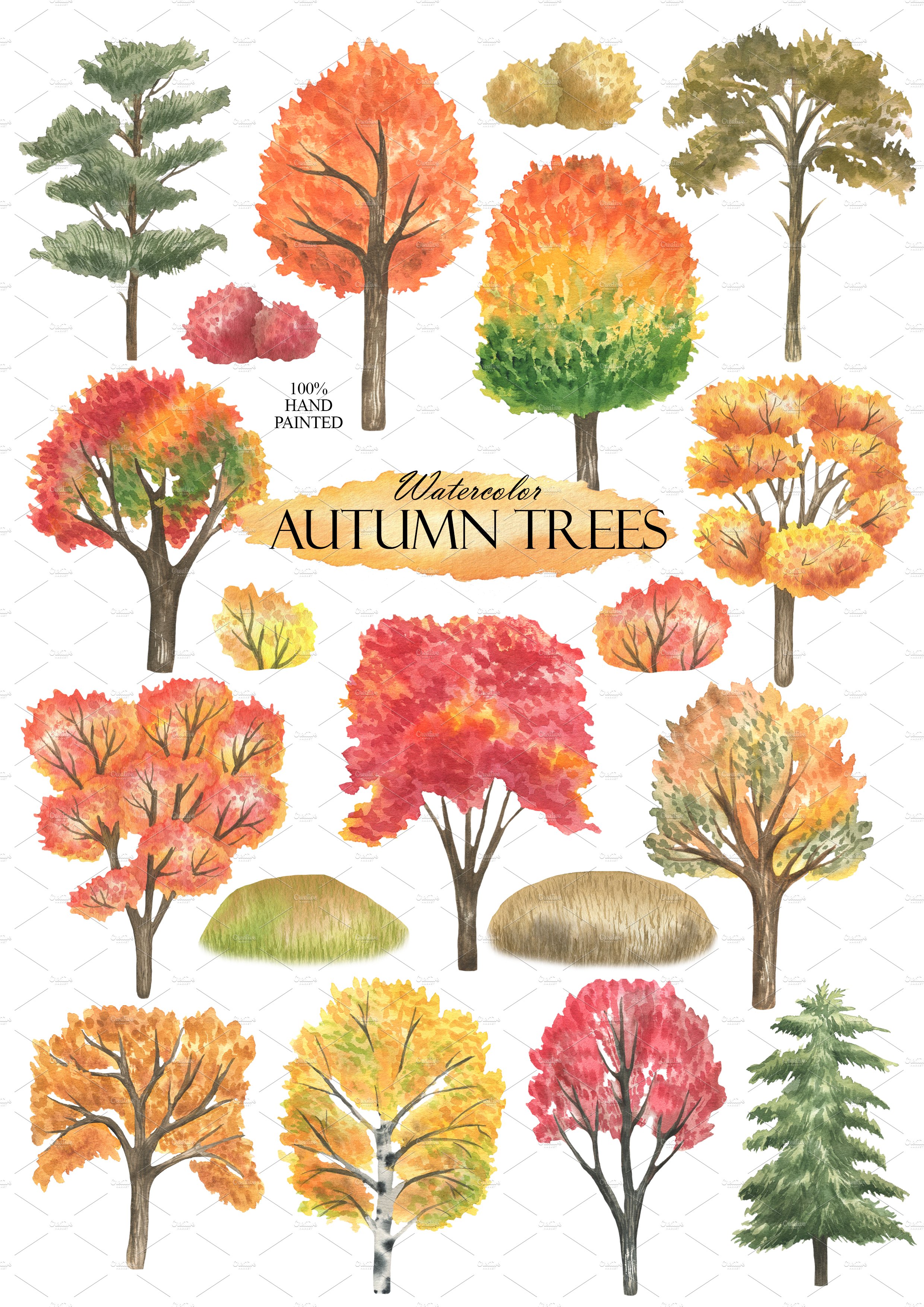 Autumn Forest Trees preview image.