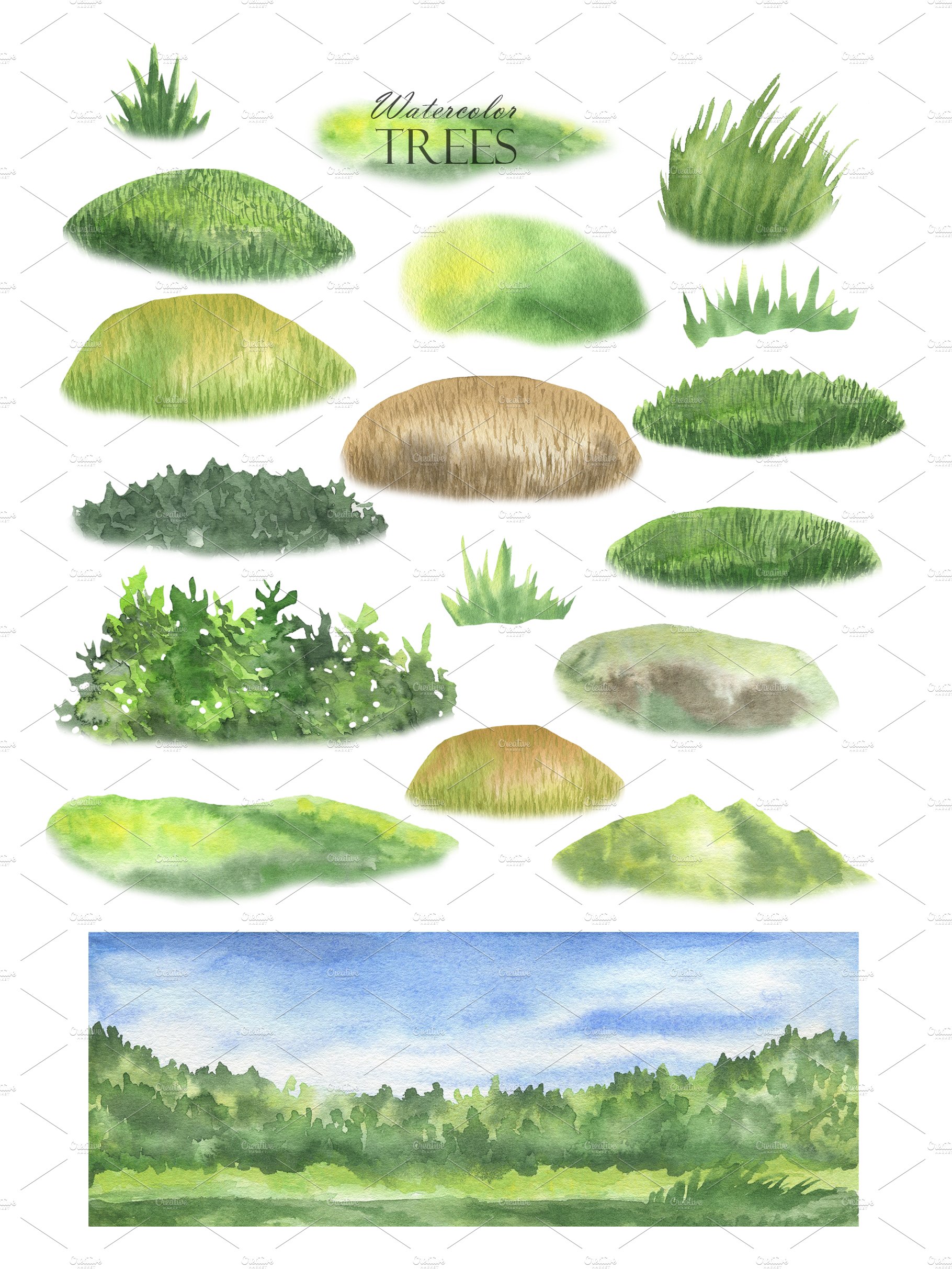 Bunch of watercolors of different types of grass.