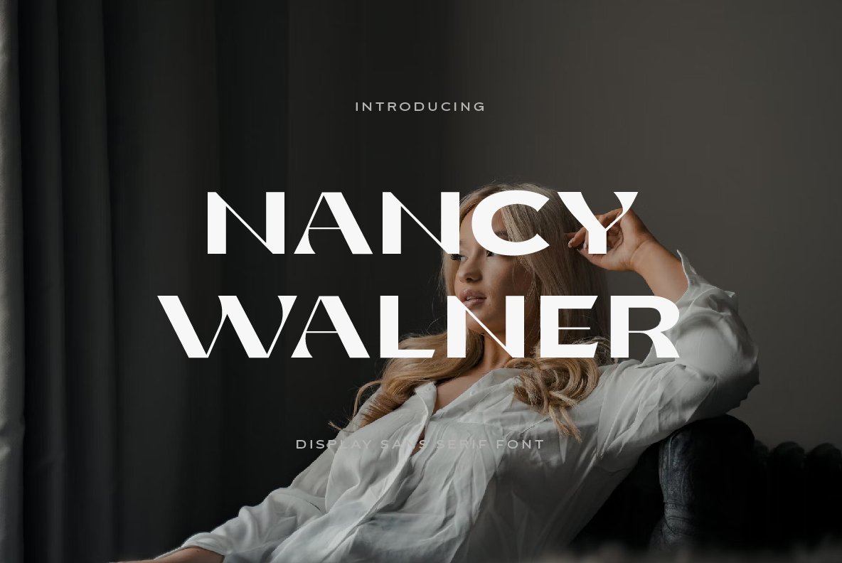 Nancy Walner Modern Sanscover image.