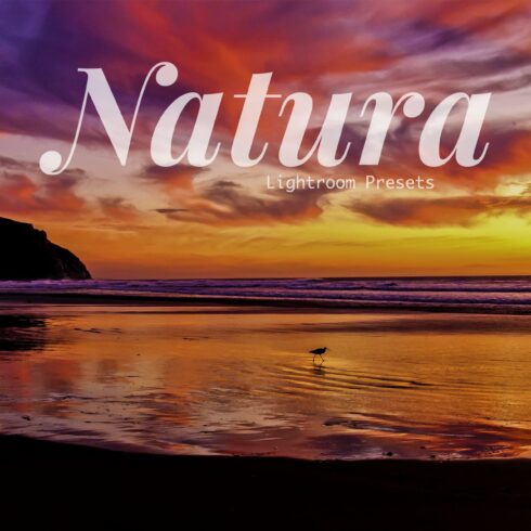 Natura Landscapes Lightroom Presetscover image.