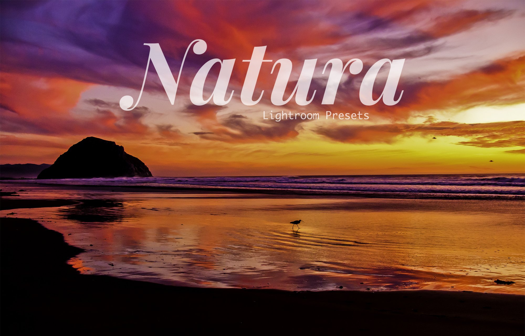 Natura Landscapes Lightroom Presetscover image.