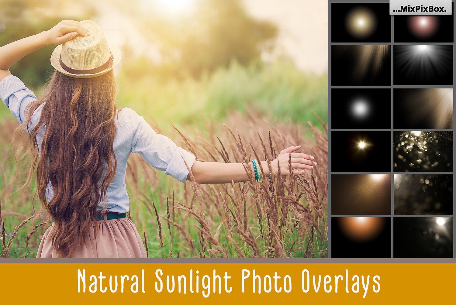 Natural Sunlight photo overlayscover image.